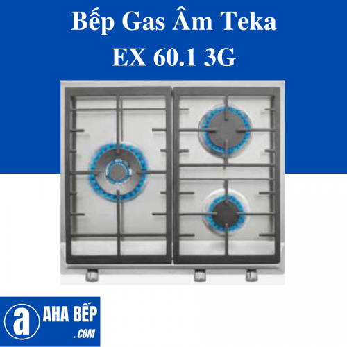 BẾP GAS ÂM TEKA EX 60.1 3G
