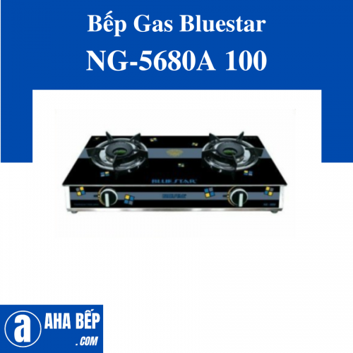 Bếp gas đôi Bluestar NG-5680A 100