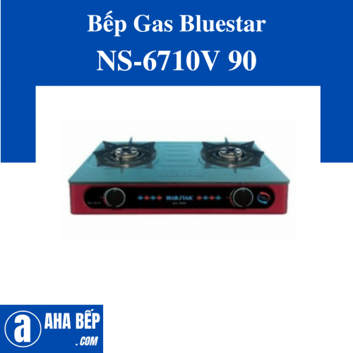 Bếp gas đôi Bluestar NS-6710V 90