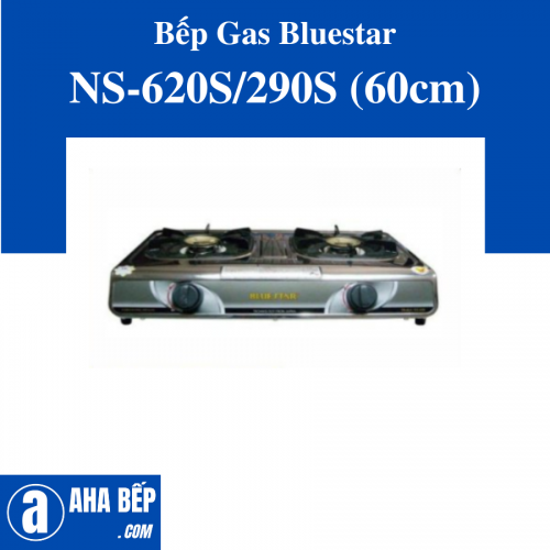 Bếp gas đôi Bluestar NS-620S/ 290S (60cm)