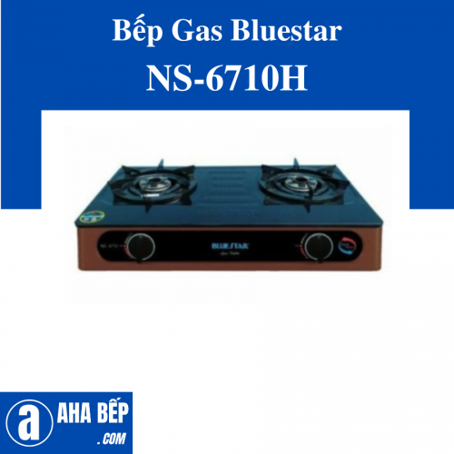 Bếp gas đôi Bluestar NS-6710H