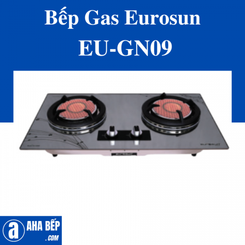 Bếp Gas Eurosun EU-GN09