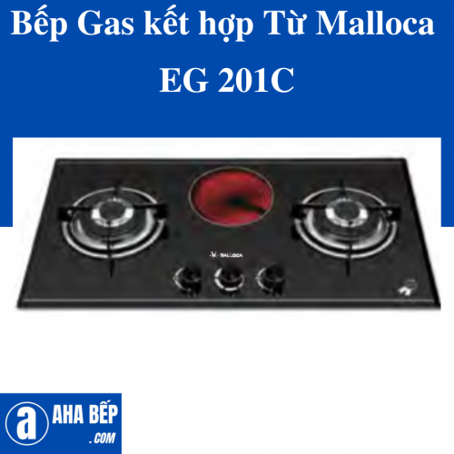 Bếp Gas kết hợp Từ Malloca  EG 201C