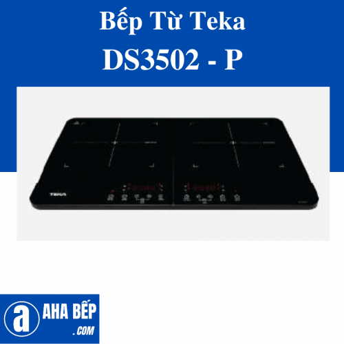 BẾP TỪ TEKA DS3502-P