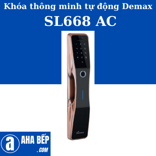 KHÓA THÔNG MINH DEMAX SL668 AC