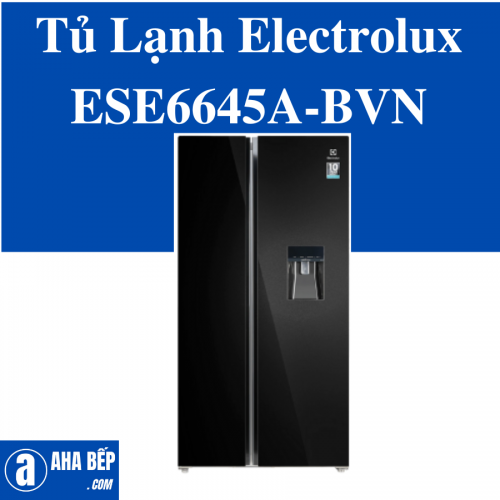 Tủ Lạnh Electrolux ESE6645A-BVN